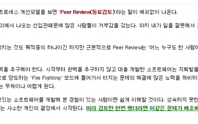 SW개발에서 ‘Peer Review’의 중요성