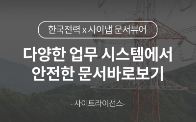 한국전력공사의 다양한 업무시스템에서 안전한 문서바로보기