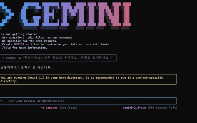 개발 진입장벽을 낮추는 게임체인저, 구글 제미나이 CLI 2시간 체험기
